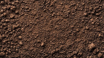 Rich brown soil texture, natural background.