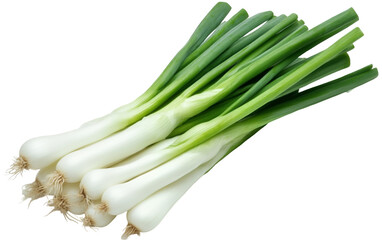 Obraz premium PNG object on clear backdrop. A bunch of fresh spring onions showcasing their long green stems and white bulbs, perfect for salads. Isolated on transparent background.