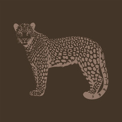 vector illustration of a leopard running 