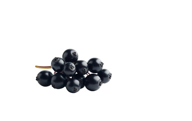 PNG object on clear backdrop. A cluster of ripe transparent elderberries against a dark background, ideal for health and wellness themes with copy space. Isolated on transparent background.