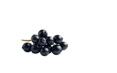 PNG object on clear backdrop. A cluster of ripe transparent elderberries against a dark background, ideal for health and wellness themes with copy space. Isolated on transparent background.