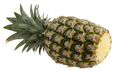 PNG object on clear backdrop. Sliced pineapple on a black background offering ample copy space for text or design elements. Isolated on transparent background.