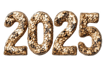 Obraz premium New Year 2025. Golden numbers 2025 made from snakes skin on white background