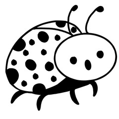 ladybug on white background