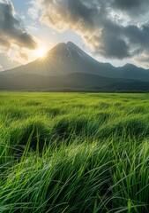 Fototapeta premium Green Grass Field With Mountain In The Distance