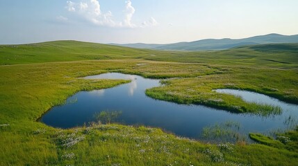 Obraz premium Aerial shot of a countryside grass field with small ponds and patches of wildflowers in view.