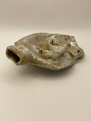 crushed metal bottle