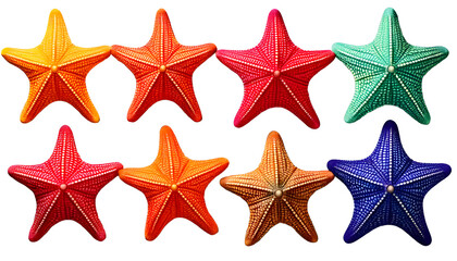  Set of colorful starfish in vivid colors on transparency background PNG