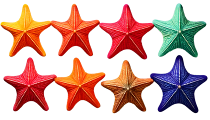  Set of colorful starfish in vivid colors on transparency background PNG