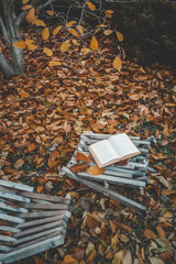 Obraz premium Open book resting on a rustic wooden chair surrounded by golden autumn leaves, creating a cozy seasonal atmosphere of reading and relaxation in nature