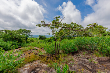 Panoramic nature background from a viewpoint on a high mountain overlooking the scenery below, river, road, rocks, trees, the beauty of nature during a trip in Khon Kaen, Thailand.