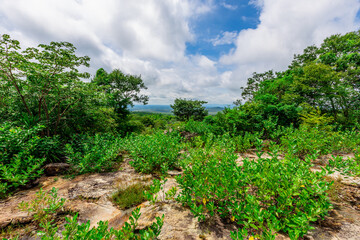 Fototapeta premium Panoramic nature background from a viewpoint on a high mountain overlooking the scenery below, river, road, rocks, trees, the beauty of nature during a trip in Khon Kaen, Thailand.