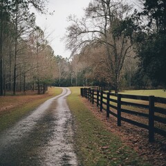 Fototapeta premium Empty Country Road with Wooden Fence.