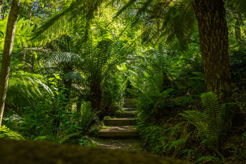 Garden with lushes greenery