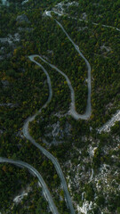 A narrow winding paved road in the mountains runs through a deciduous autumn yellow-green forest. Aerial view. Serpentine near the town of Cetinje in Montenegro.