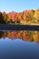 Obraz premium Autumn Reflection at the Lake, Sainte-Apolline, Québec, Canada