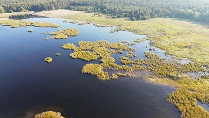 Aerial view of small islands of lush green reeds growing in blue lake water