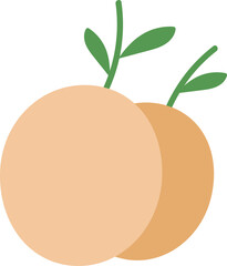 Set with hand drawn Fall colorful doodle fruits and vegetables. Handdrawn red, orange and green fruits, berries, vegetables. Vector collection. Sketch style. Flat icons berries, carrot, onion, tomato.