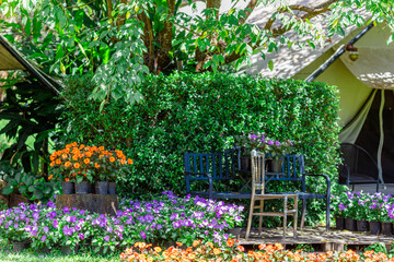 Green nature landscape background of rice fields, fresh air and various trees of mountains surrounding. The way of life of the farmers community who grow crops for their living.
