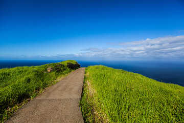 Obraz premium Coastline of Madeira island , Portugal