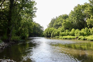 The quiet flowing stream in the woods on a sunny day.
