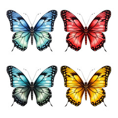 Obraz premium Vibrant Butterfly Illustration on transparent