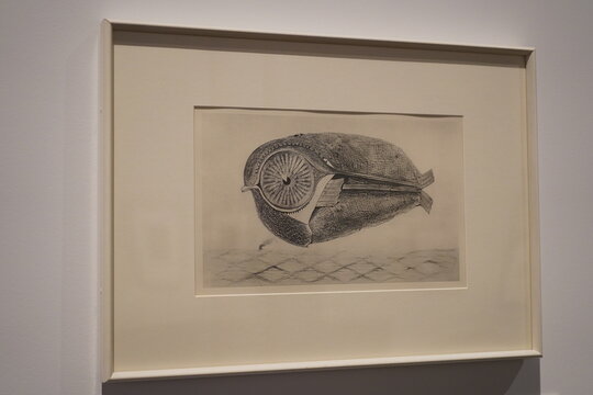 "Der Ausbrecher" von Max Ernst im Museum f&uuml;r Fotografie in Berlin am 09.11.2024
