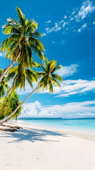 Tropical beach with palm trees and white sand under a clear blue sky.