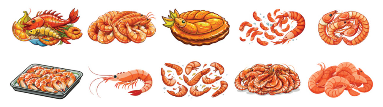 set of shrimp vector illustration