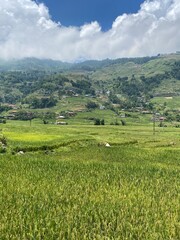 Rice fields and hills in Sapa, Vietnam