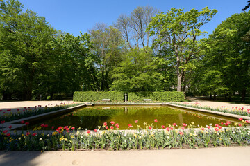 Obraz premium Small pond and flowers in baths park in European Warsaw city in Poland