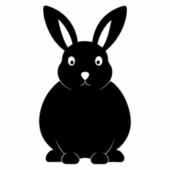 rabbit isolated on white