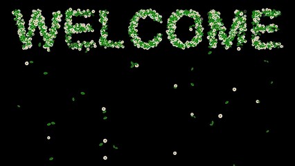 Beautiful illustration of Welcome text with green leaves and white daisy flowers on plain black background