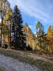 Obraz premium autumn in the mountains