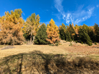 autumn in the mountains