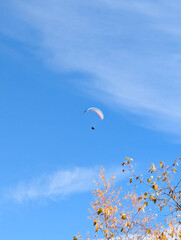 parachute in the sky