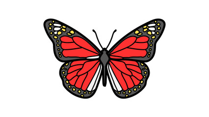 butterfly on white background