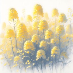 Obraz premium 유채꽃, 파스텔화 (Rapeseed, pastel painting)
