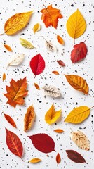Obraz premium A collection of colorful autumn leaves arranged on a speckled surface.