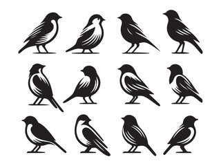 Set of bird vector illustration