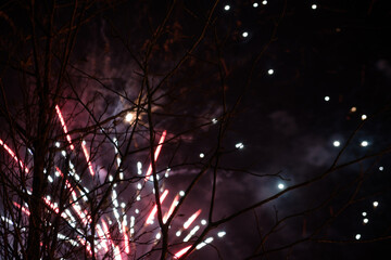 Multicoloured fireworks exploding at night with tree branches silhouetting the light