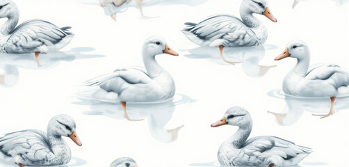 Obraz premium Elegant swans in a serene pond with soft reflections and vibrant details