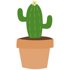 cactus in a pot isolated