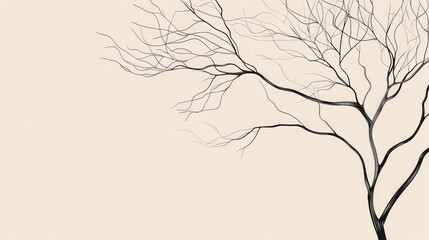 Fototapeta premium Single-line drawing of a tree with a focus on clean, simple branches against a light beige backdrop.