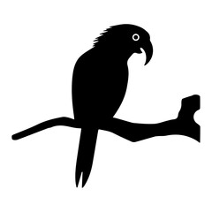 Silhouette of a parrot sitting on a branch on a transparent background