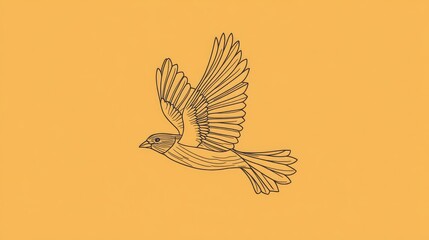 Fototapeta premium Outline of a bird in flight, with clean lines and no details, centered on a solid color background.