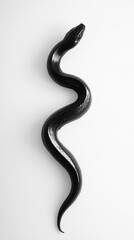 Obraz premium A black snake on a white background