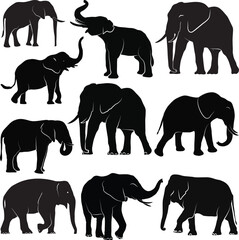 Set of black elephants in different poses, Elephant silhouette collection, eps, white background