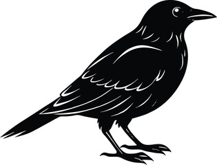 Naklejka premium black bird silhouette,animal silhouette vector illustration 