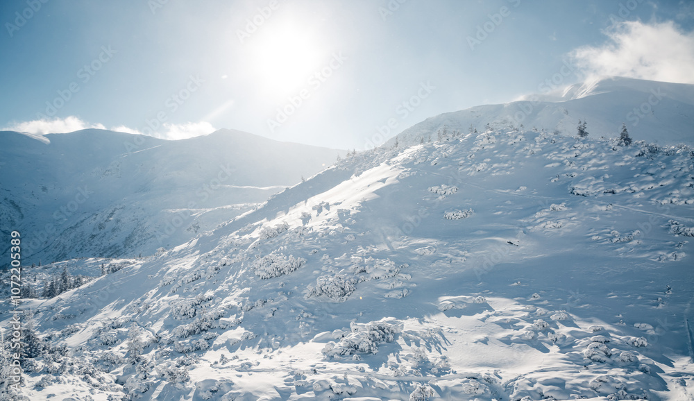 Aufkleber a panoramic view of a snow-covered mountain range and slopes shining in the sun. carpathian mountain